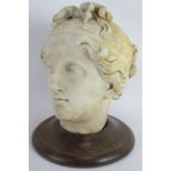 Antique carved marble Greco Roman head of Aphrodite/Venus, believed to be an 18th century Grand Tour