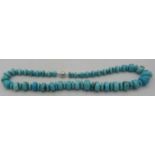 A graduated turquoise roundel shaped bead necklace with ball shaped silver clasp, approx 19" long,