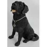 A Border Fine Arts fireside dogs series black Labrador figure, Height: 39cm. Boxed. Condition