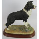 A Border Fine Arts figure 'Border Collie Standing' by Margaret Turner 2002. Height 25cm. Length