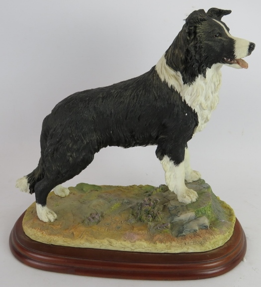 A Border Fine Arts figure 'Border Collie Standing' by Margaret Turner 2002. Height 25cm. Length