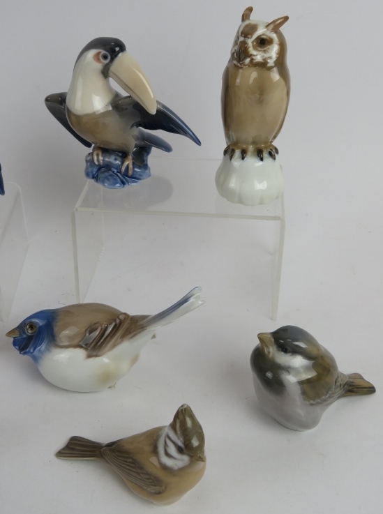 Ten Royal Copenhagen porcelain figures of birds including kingfishers, grebe, penguin, robins and - Image 4 of 6