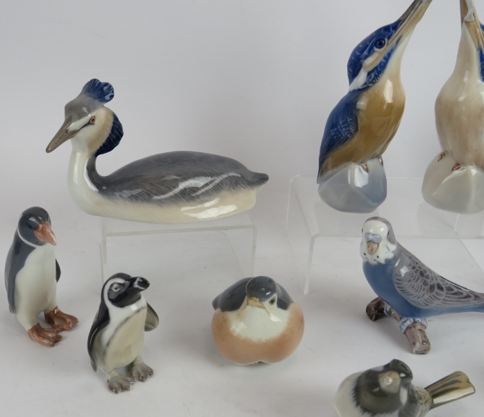 Ten Royal Copenhagen porcelain figures of birds including kingfishers, grebe, penguin, robins and - Image 2 of 6