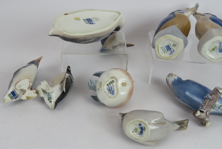 Ten Royal Copenhagen porcelain figures of birds including kingfishers, grebe, penguin, robins and - Image 5 of 6