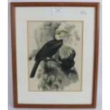 'Hornbills', an 1872 lithograph, 25cm x 19cm, framed. Condition report: No issues.