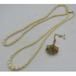 A 15ct yellow gold starburst brooch/pendant set with seed pearls on safety chain, approx weight 7