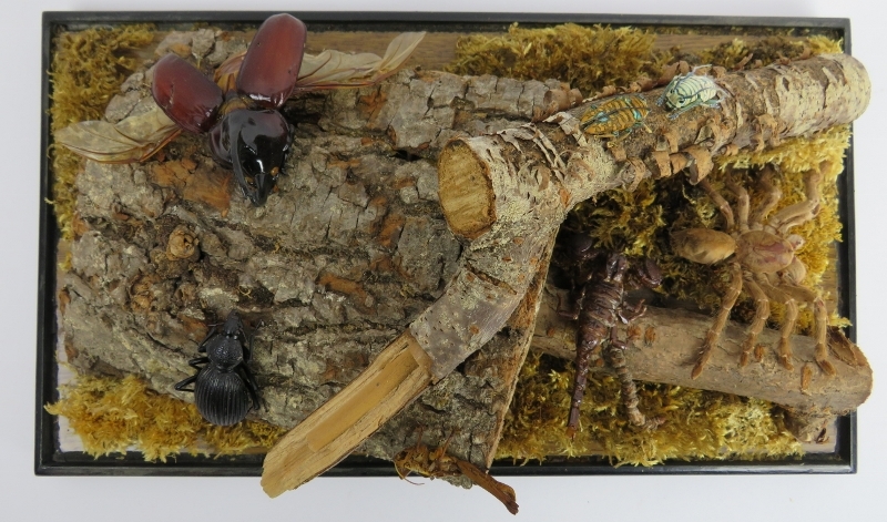 Taxidermy: Vintage group of insects and arachnid in naturalistic setting. Included are a stag Beatle - Image 3 of 4