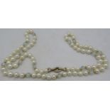 A strand of Mikimoto pearls with 9ct yellow gold & diamond clasp. Interspersed with aquamarine beads