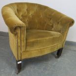 An Edwardian tub chair, upholstered in gold velvet material with brass studs, on square supports