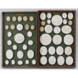 A large collection of Italian Grand Tour Plaster Intaglios. Displayed in two trays, each tray with