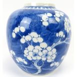 A Chinese blue and white ginger jar, 19th century. Of ovoid form, decorated with blossoming