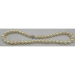 A strand of rare graduated large white Akoya pearls from Australia, 10mm/12mm. The white metal