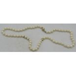 An Akoya cultured pearl necklace individually knotted, approx: 7mm across, with 14ct gold ball clasp