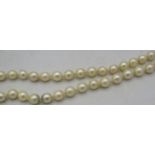 A double row individually knotted pearl necklace with a sterling silver & pearl clasp, approx 17"
