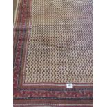 A North East Persian Sarouk Mir carpet central repeat pattern field on cream ground and deep border.