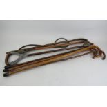 A collection of walking sticks of natural form, two with bark finish, 82cm to 86cm long, a cane with
