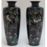 A pair of Japanese cloisonné enamelled vases, Meiji period. Decorated with flowers and birds amongst
