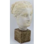 A European plaster cast head of Hygeia the Greek Goddess of health, 20th century. The head and