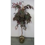 An artificial bay tree in an Arts & Crafts brass planter with cast lion mask handles. H185cm (