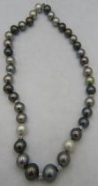 An AAAA quality 'peacock' Tahitian Southsea pearl necklace with radiant lustre and set with 8