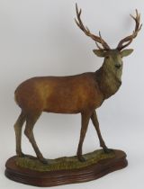 A Scottish Wildtrack Wildlife Art finely modelled ceramic stag, dated 1992. With impressed factory