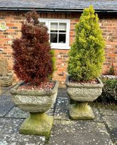A pair of weathered reconstituted stone garden urns on pedestal bases, 20th century. H44cm W39cm (
