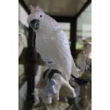 A Royal Dux porcelain Cockatoo