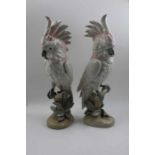 A pair of Royal Dux ceramic cockatoos, modelled perched upon branches, factory marks beneath base in