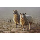 Paul James (1961-) ARR may apply "Two's Company" (two sheep on a misty, frosty morning, with two Mag