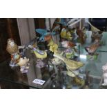 A collection of Royal Worcester birds - funds going to the Turkish Earthquake appeal.
