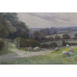 George Oyston, watercolour, sheep grazing in pasture