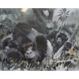 Wolfgang Weber 'Mountain Gorillas' a signed limited edition print 48 x 58cm.