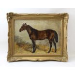 John Emms (1844 - 1912) "Isriel" study of a Horse, oil painting on canvas signed and dated 1876.