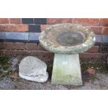 Cotswold stone two piece birdbath with a cast concrete hedgehog.