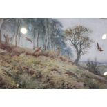 Stannard - A watercolour study of a pheasant shoot, 34cm x 64c, signed in glazed frame