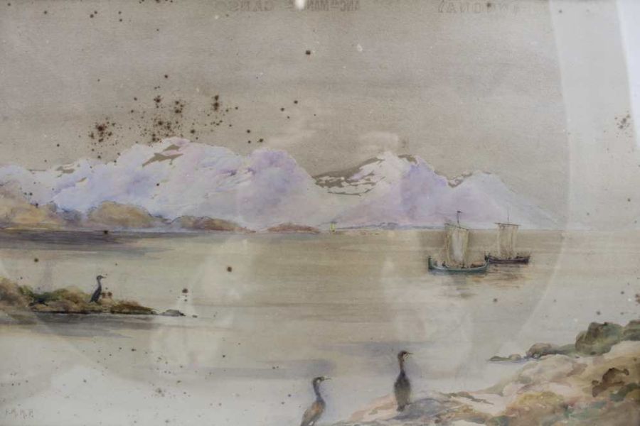 Early 20th century European School, "Coastal scene, Cormorants in the foreground, with boats and dis
