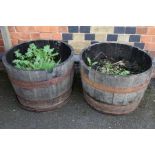 Two half barrel garden planters