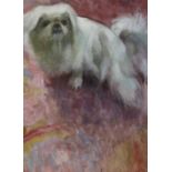 Attributed to Lizzie Keene - Study of a Pekinese on a Crimson Background, oil on canvas, signed, 60c