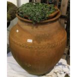 a handcrafted terracotta plant pot