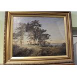 An original oil on canvas study of a woodland scene, 45cm x 59cm, gilt framed