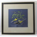 Vic Grainger - Study of grey wagtails in a naturalistic river scape, watercolour and gouache, signed