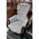 A Victorian show wood framed button back salon armchair, scroll feet with green fabric upholstery.
