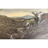 Nigel Hemming - A large oil painting of a stag on the moor, gilt framed 100 x 152 cm