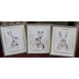 C Oakley - Three original hare studies