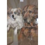 Marjorie Cox - Cavalier King Charles Spaniel & Golden Retriever Dog Study, pastel, signed & dated 19