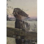 Bird - Study of a Little Owl with Field Mouse prey, oil on canvas, signed & dated 1942 with inscript