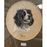 Ann - Portrait study of a black & white Springer Spaniel, pastel, signed with symbol & dated 1989, 2
