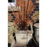 A square ornate stone effect planter with a cordyline