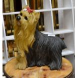 A resin model of a Yorkshire Terrier