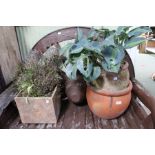 Three various garden planters